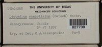 Image Associated With the Occurence